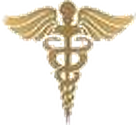 Supreme Physical Therapy Co